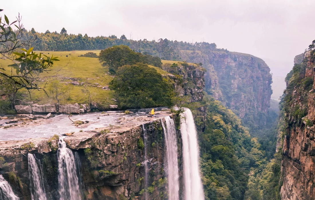 South African Travel Tech Startup Conservio Raises USD 1 M