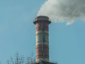 The Net Zero Myth: Carbon Markets Explained 