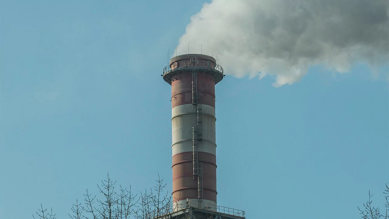 The Net Zero Myth: Carbon Markets Explained 