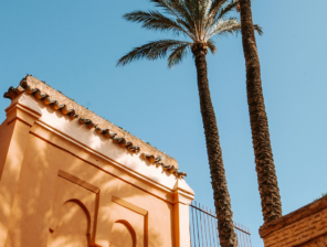 BVS Venture Studio Launches in Morocco to Support and Scale Startups