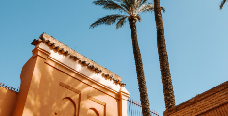 BVS Venture Studio Launches in Morocco to Support and Scale Startups