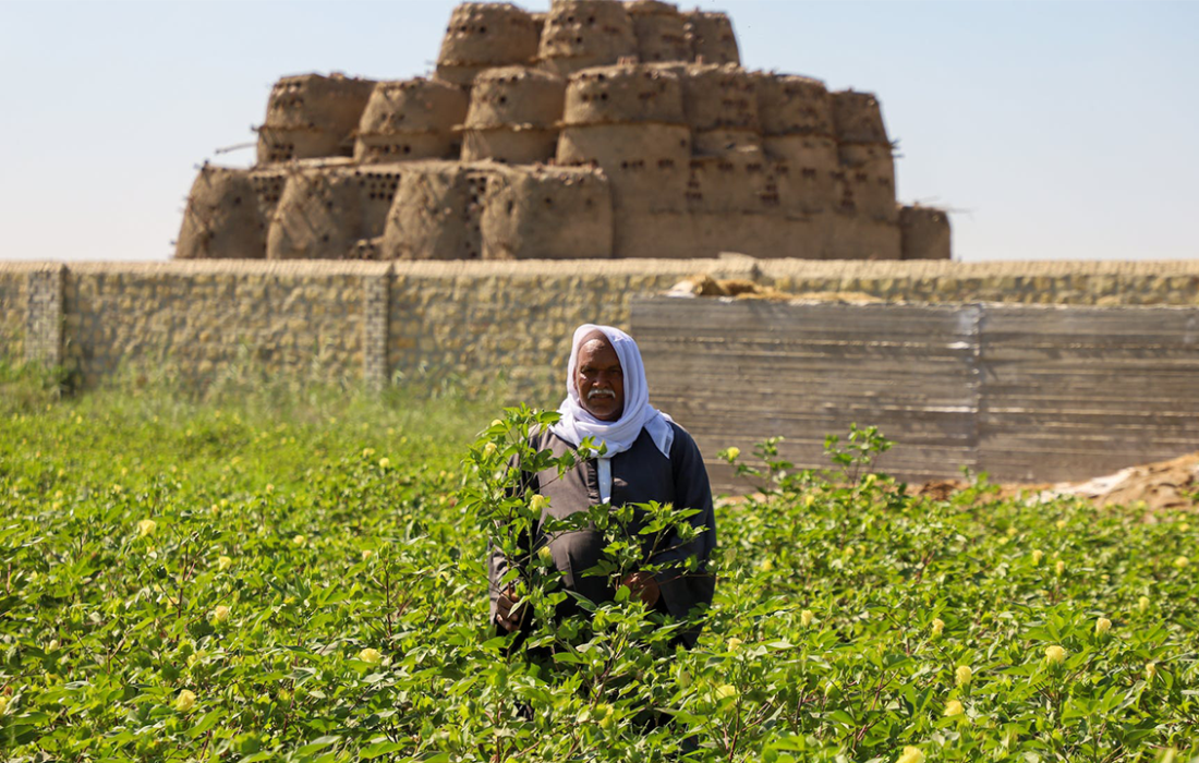 Sekem Gears Up to Invest USD 10M to Boost Production and Expand Regionally 
