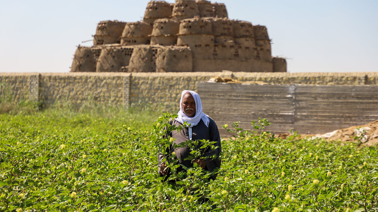 Sekem Gears Up to Invest USD 10M to Boost Production and Expand Regionally 