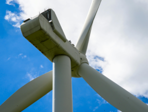 Inside Egypt’s Cleantech Ecosystem