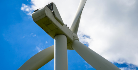 Inside Egypt’s Cleantech Ecosystem