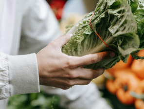 Oman’s ZabonEx Raises USD 100K to Power Food Supply Analytics
