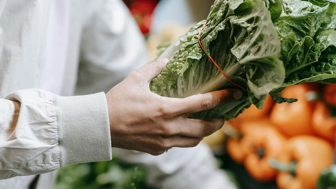 Oman’s ZabonEx Raises USD 100K to Power Food Supply Analytics