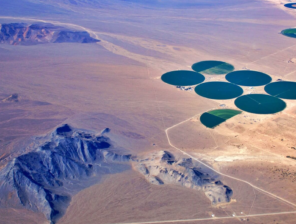 WaHa Raises USD 8M to Scale Atmospheric Water Tech in GCC 