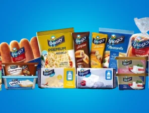 From Cairo to Riyadh: Domty Plans Saudi Expansion