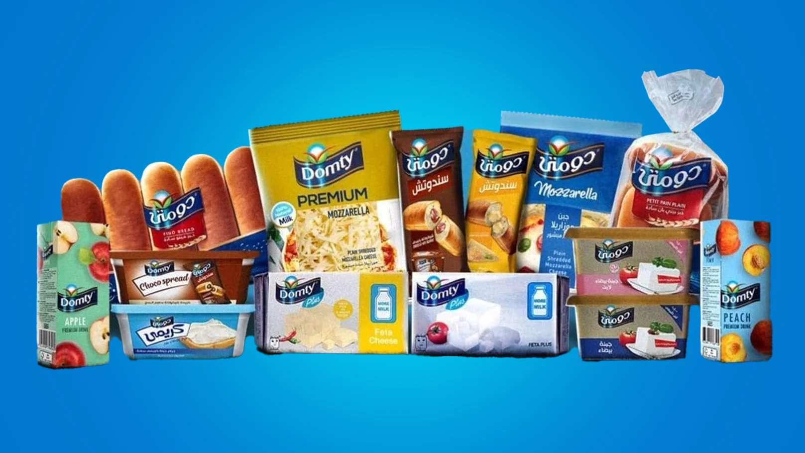 From Cairo to Riyadh: Domty Plans Saudi Expansion