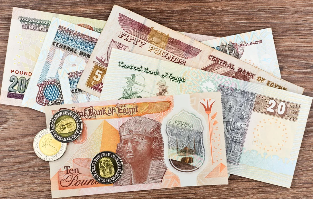 Egypt’s Catalyst Secures USD 12.5M in Banking Facilities for Expansion 