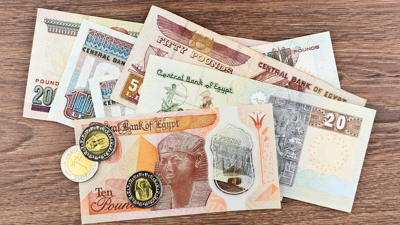Egypt’s Catalyst Secures USD 12.5M in Banking Facilities for Expansion 