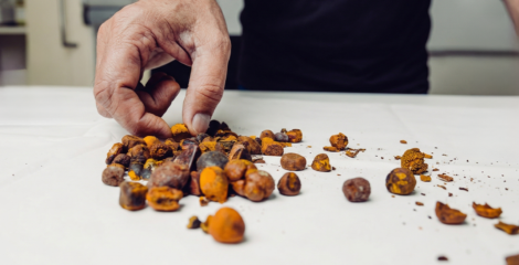 Cow Gallstones Are Now Worth More Than Gold