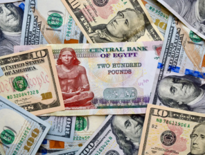 US Dollar Nears EGP 50