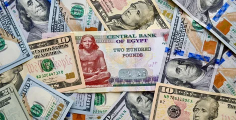 US Dollar Nears EGP 50