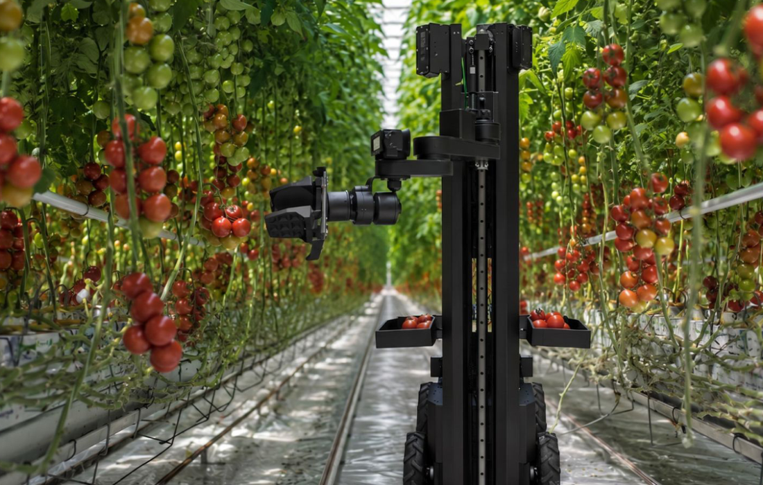 Egyptian Engineers Built the Arab World’s First Autonomous Harvesting Robot. Here Is Why That Matters.