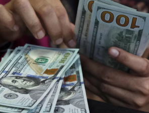 Egypt’s Remittances Hit Record High of USD 29.4B