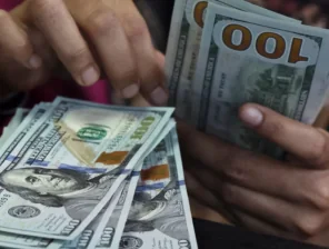 Egypt’s Remittances Hit Record High of USD 29.4B