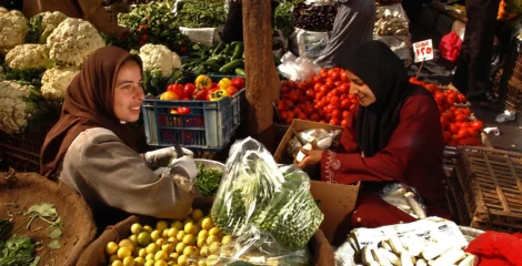 Fitch Solutions Expects the Central Bank of Egypt to Keep Rates Steady Through 2026
